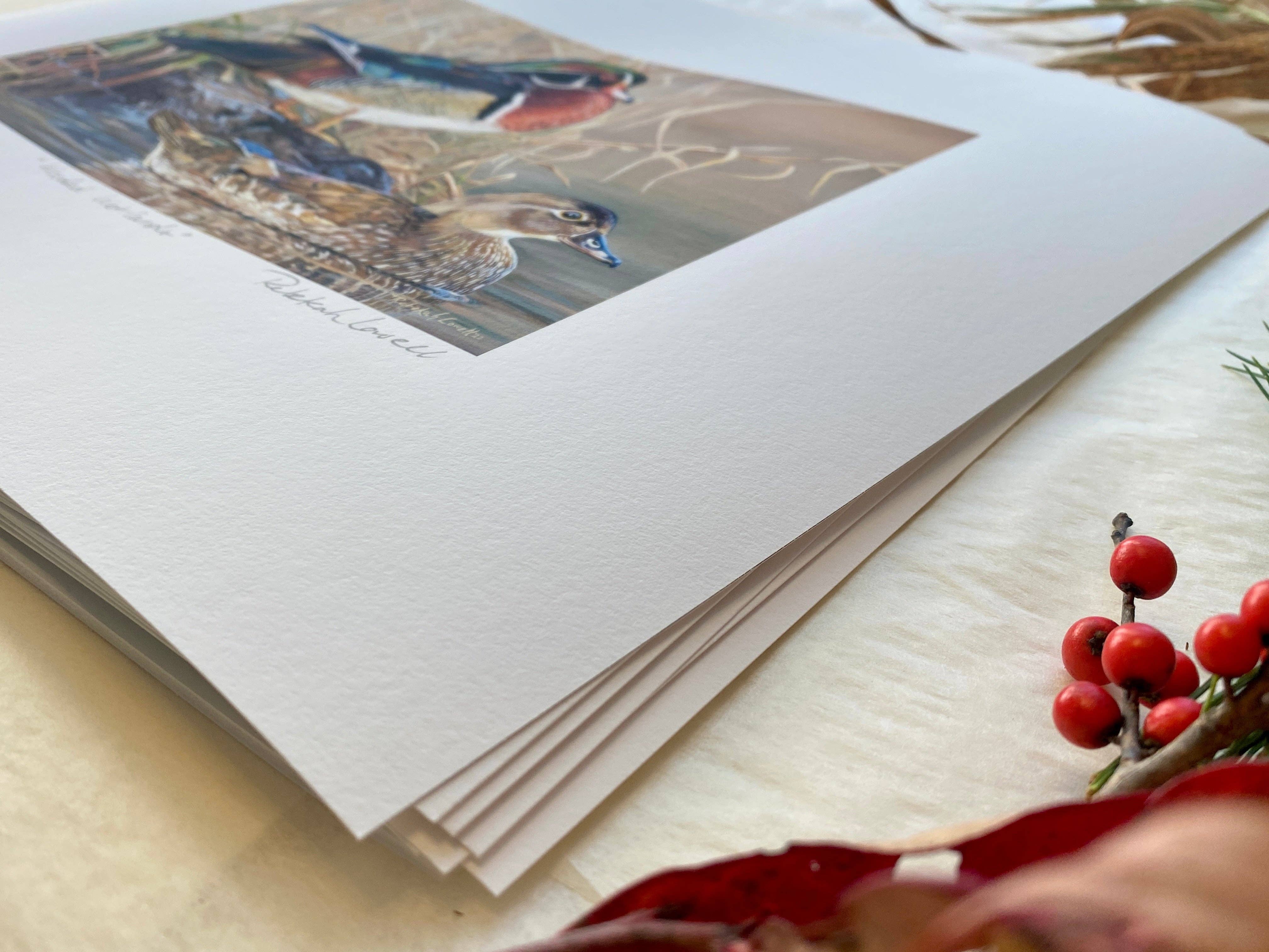 Rebekah Lowell Creative Studio - Wholesale Art Print - 2022 Maine Duck Stamp Print, "Wooded Wetlands",  Wood Ducks3