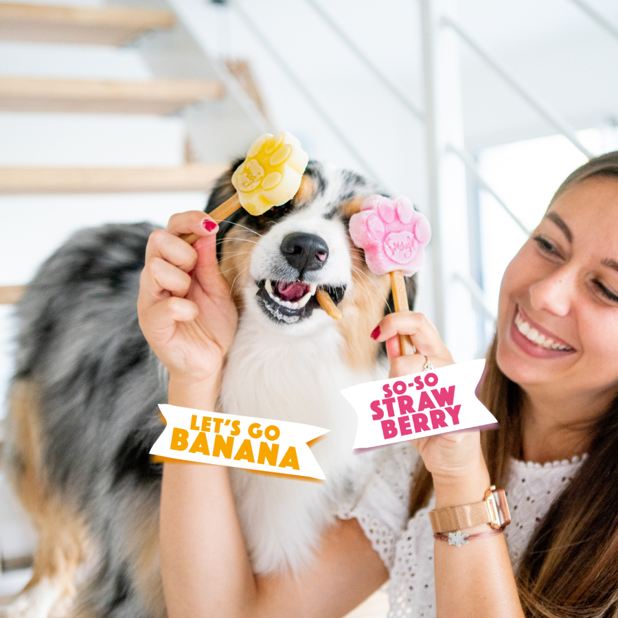 Smoofl - Vendita all'ingrosso Snack - Cani - Kit per cuccioli Smoofl per gelati per cani4