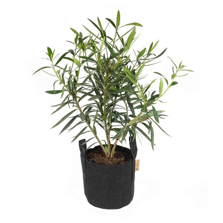 Plant bag - 16 liters for wholesale by Gorilla Gardening