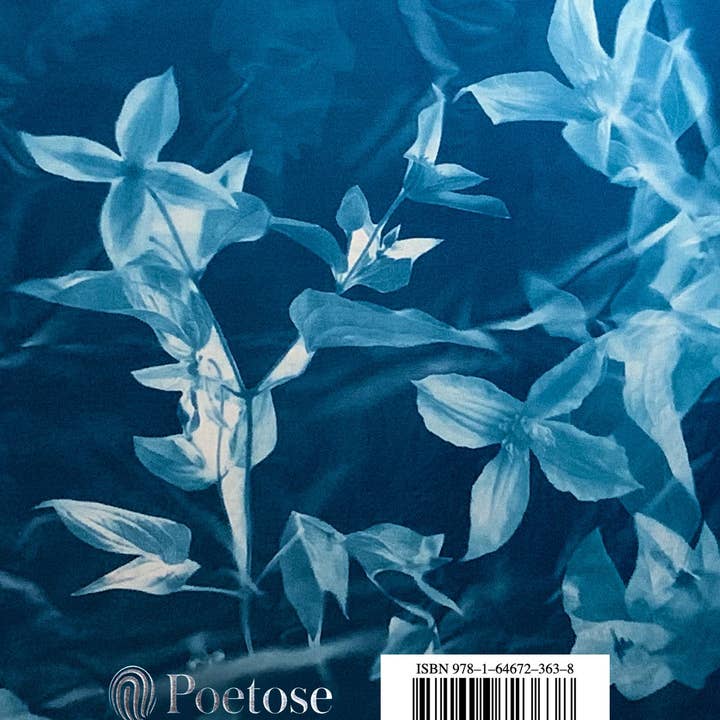 Poetose - Wholesale Poetry & Drama - Translating Blue by Sherre Vernon7