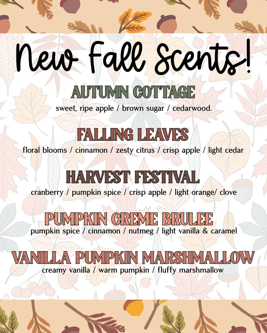 Vroom Blooms – Großhandel Auto-Lufterfrischer – Unisex – Pflanzen-Luftdiffusor für Autolüftungsschlitze (wiederverwendbar)7