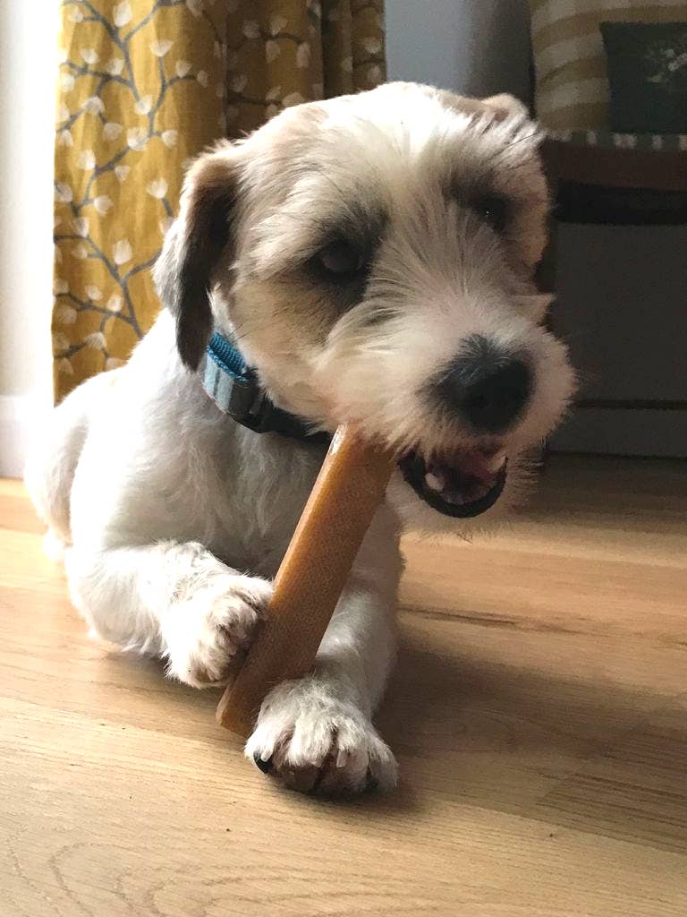 Real Pet Supplies - Wholesale Pet Treats - Dog - K2 Yak Chews 100% Natural Longer Lasting Dog Treats Medium7