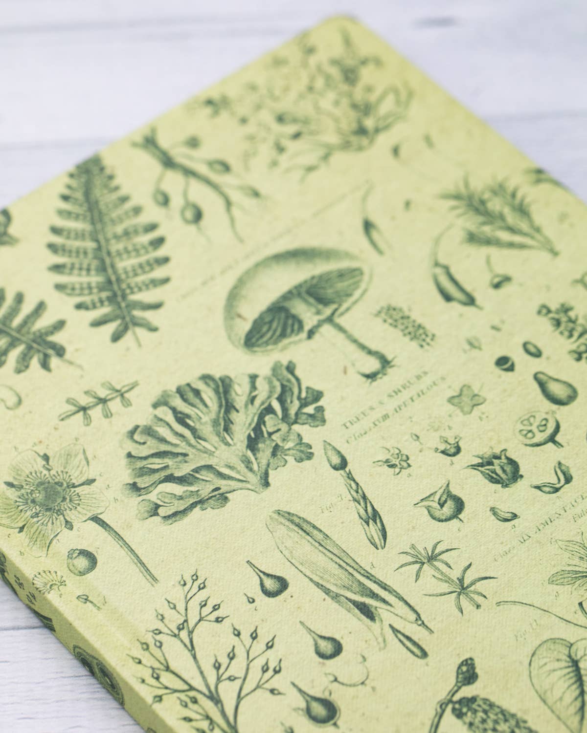 Cognitive Surplus - Venta al por mayor Cuadernos - Plantas y Hongos Tapa Dura Páginas Rayadas/Cuadriculadas (Caja de 6)2