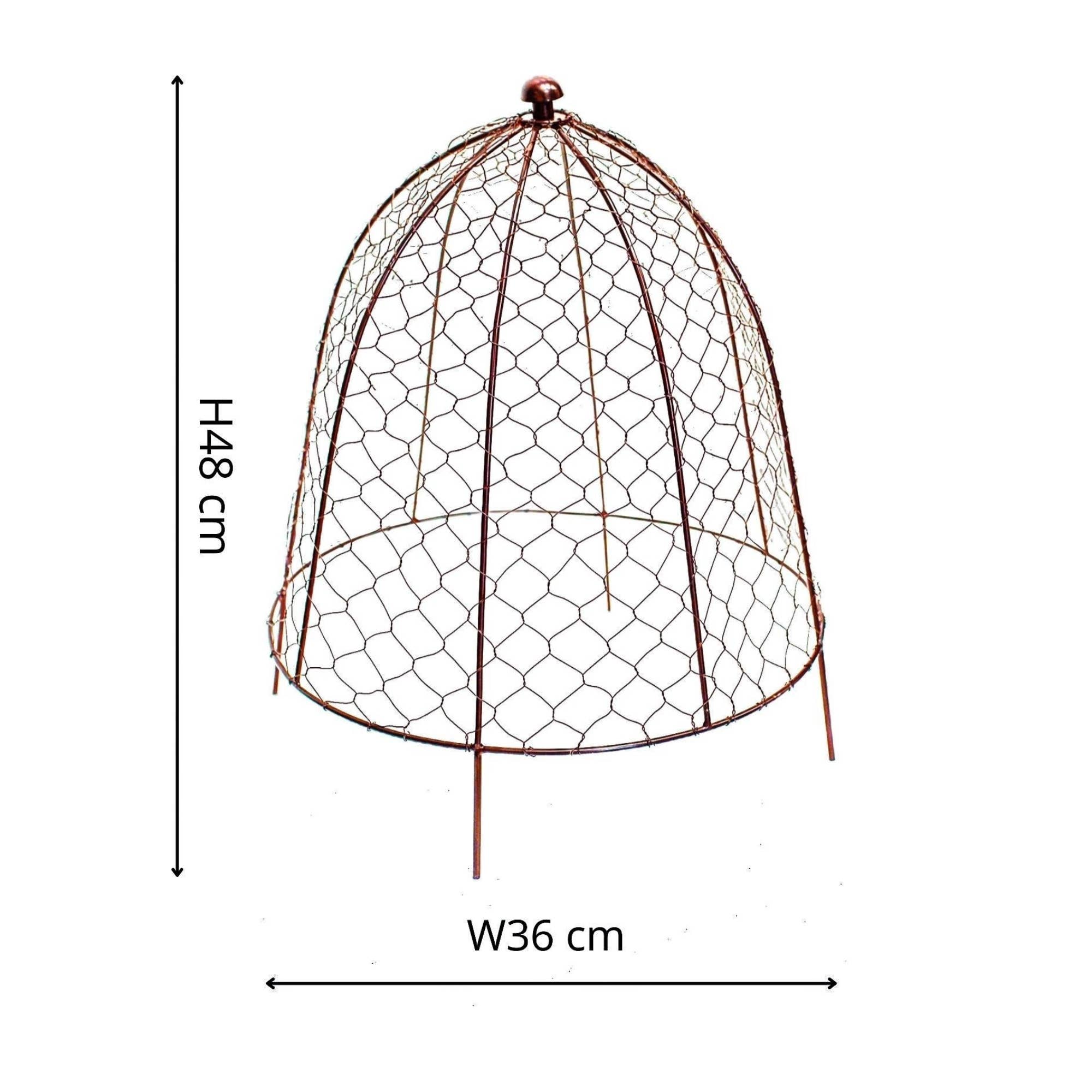Ivyline – wholesale Planting net/cover – Outdoor Wire Netted Plant Protector H48cm W36cm1