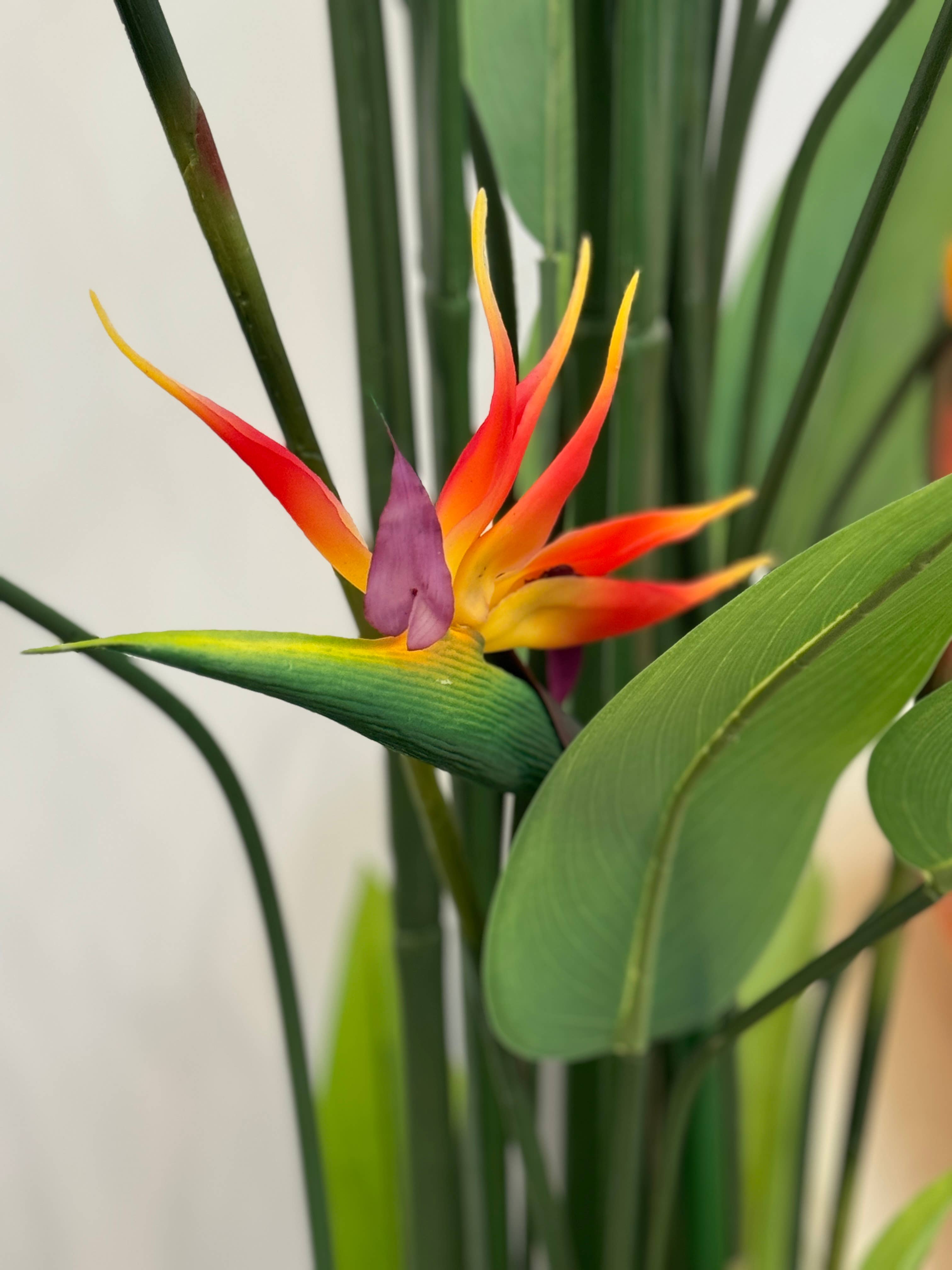 Angel Isabella - Vente Fleurs artificielles - Fleur de Paradis réaliste grand modèle de 81 cm1