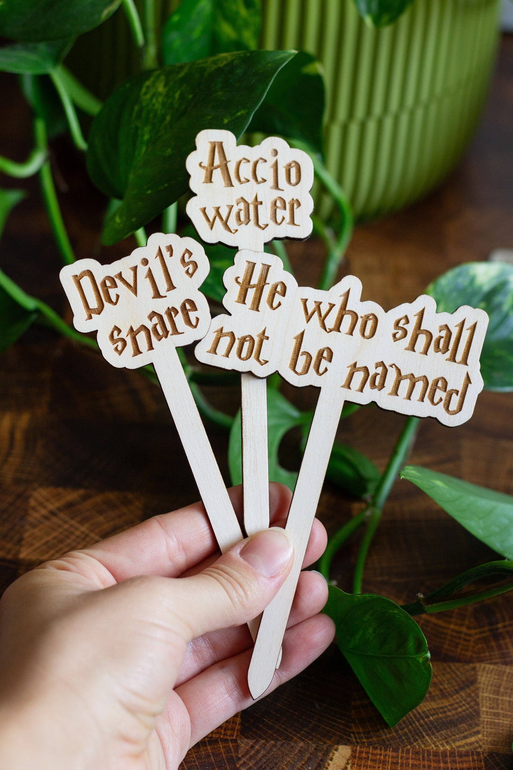 The Print Pantry - Wholesale Garden/Lawn Stake - Harry Potter Wooden Plant Markers9