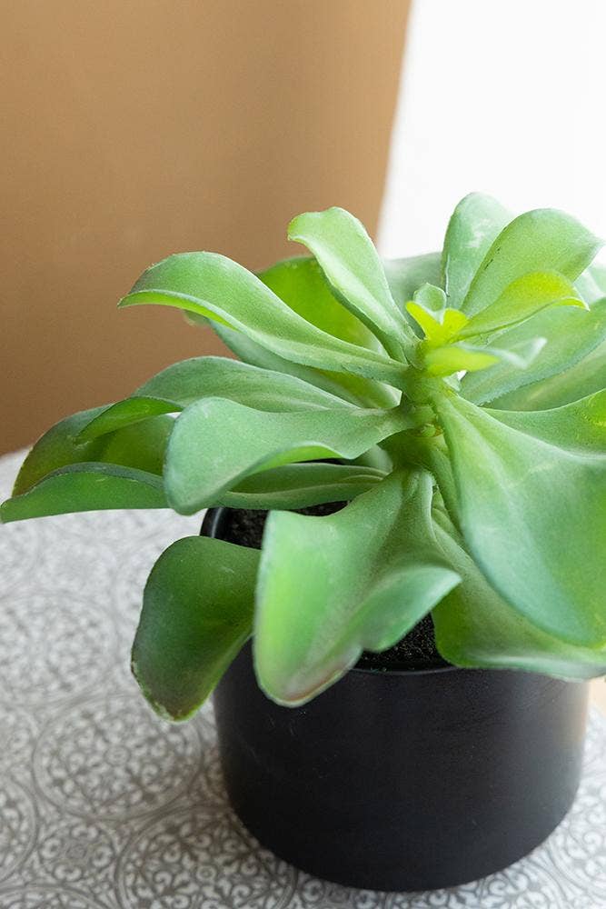 A&B Home Group Inc. – wholesale Artificial plant – Potted Succulent15
