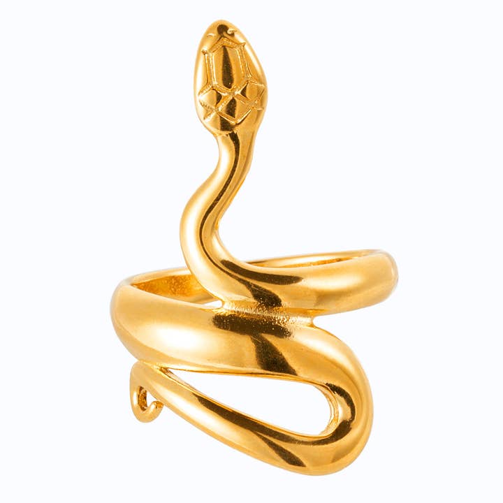 Bague Big Snake - Argent sterling 925 - Hypoallergénique pour la vente par Lillys Amsterdam