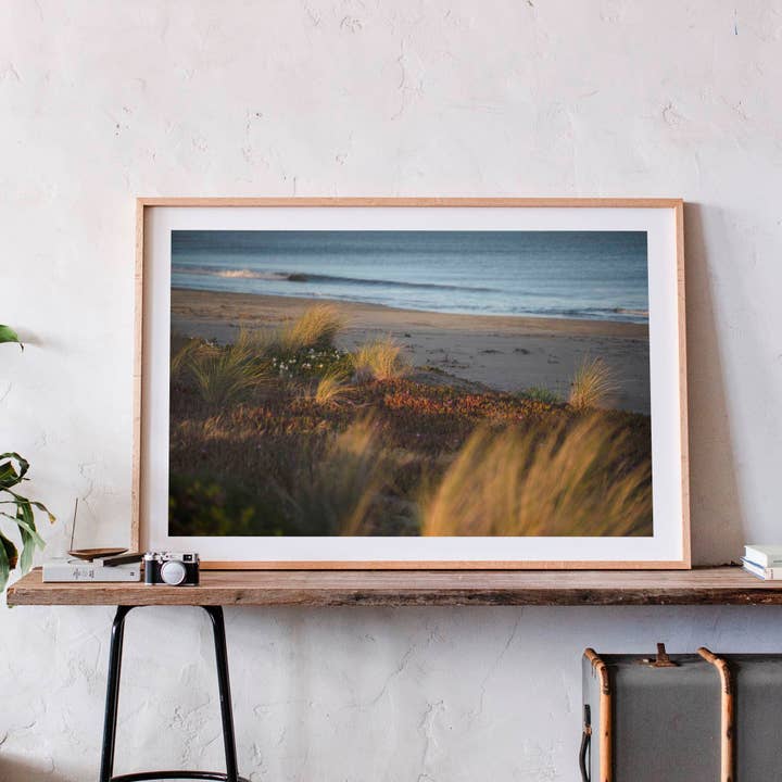 April 8, 2022 - Bodega Bay, California for wholesale by Jess Gibbs Photography