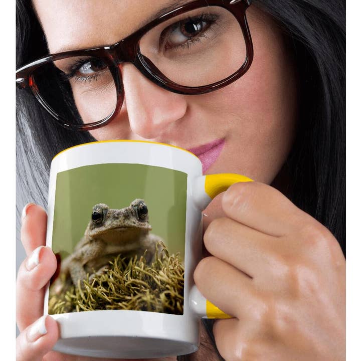 3dRose - Wholesale Coffee Mug - 3dRose, Red-spotted Toad young, Hill Country, TX - NA02 RNU0760 - Rolf Nussbaumer, Mug1