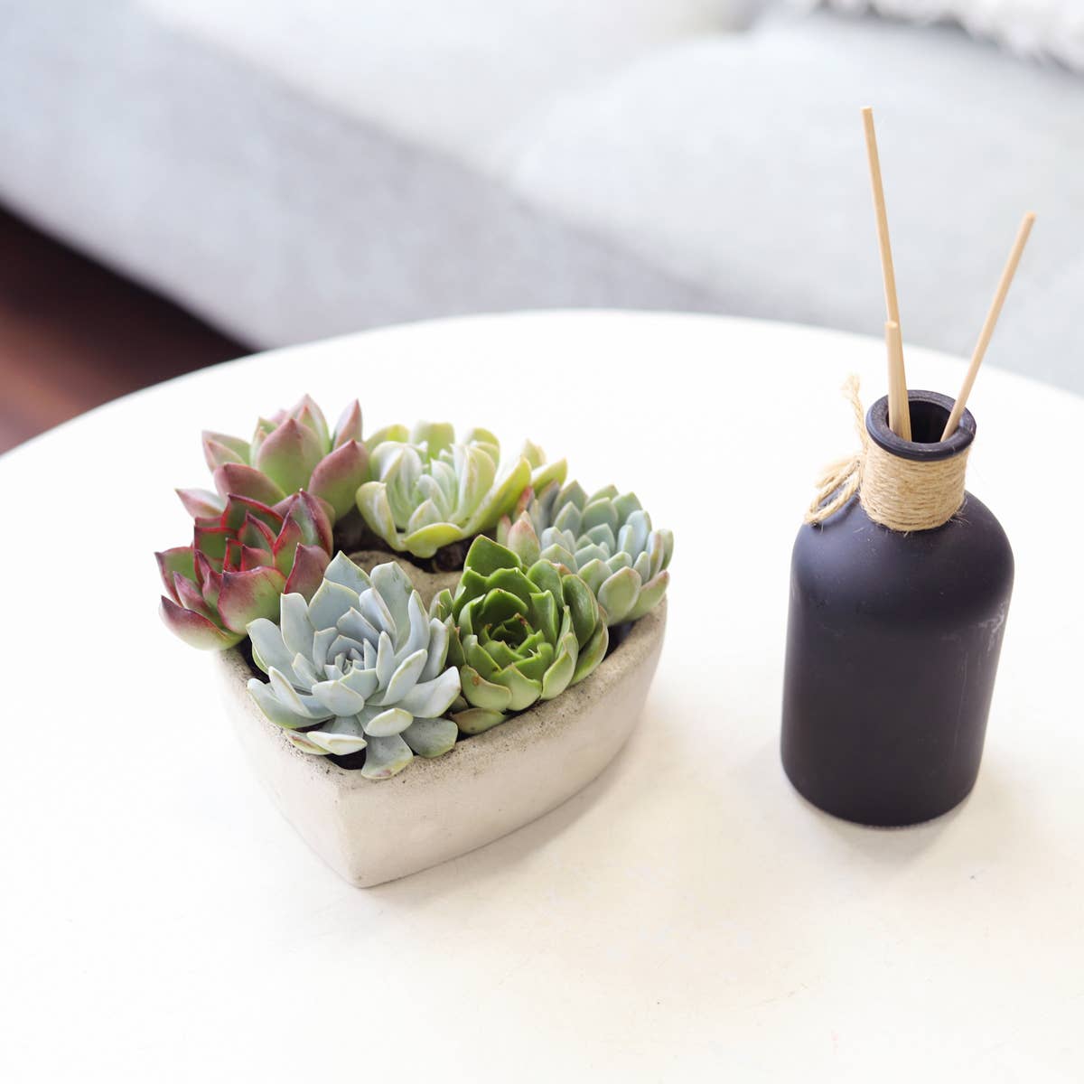 Best Plant Friend - Wholesale Succulent - Succulent Heart Arrangement - Succulent Gift Decor Ideas3