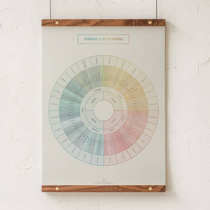 Impresión del diagrama de la rueda de sabor de terpenos para venta al por mayor de Goldleaf
