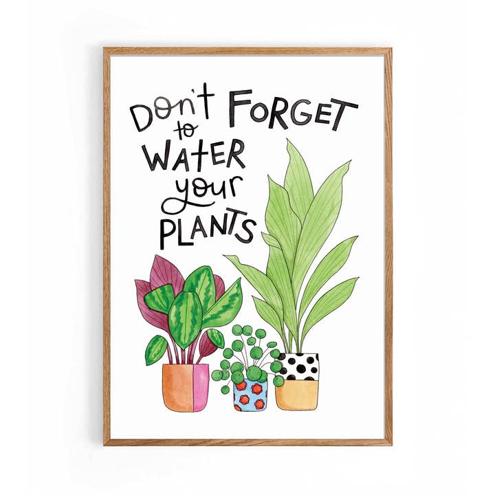Don't Forget to Water Your Plants A4 Print for wholesale by Nova & Me