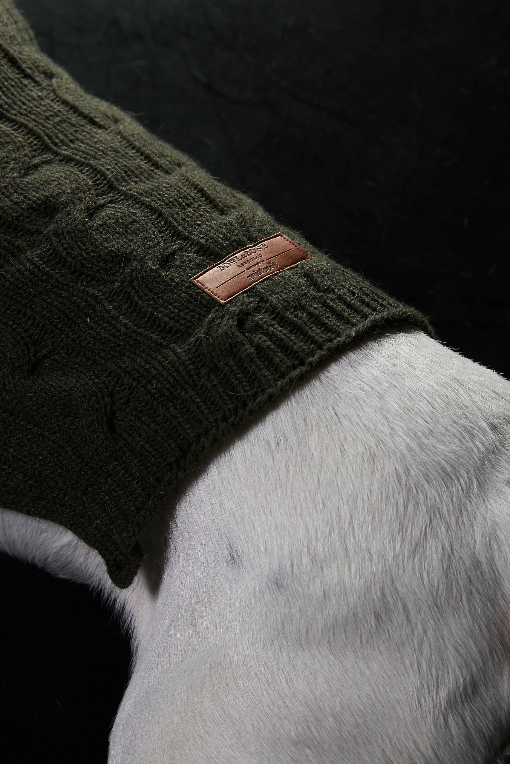 ARISTOPET - Vendita all'ingrosso Maglione - Cani - MAGLIA ASPEN12