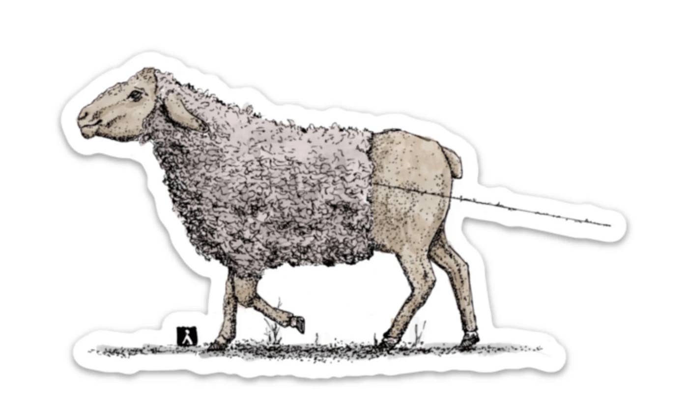 Sheep Unravelling Her Wool While Walking Vinyl Sticker for wholesale by Bellavance Ink