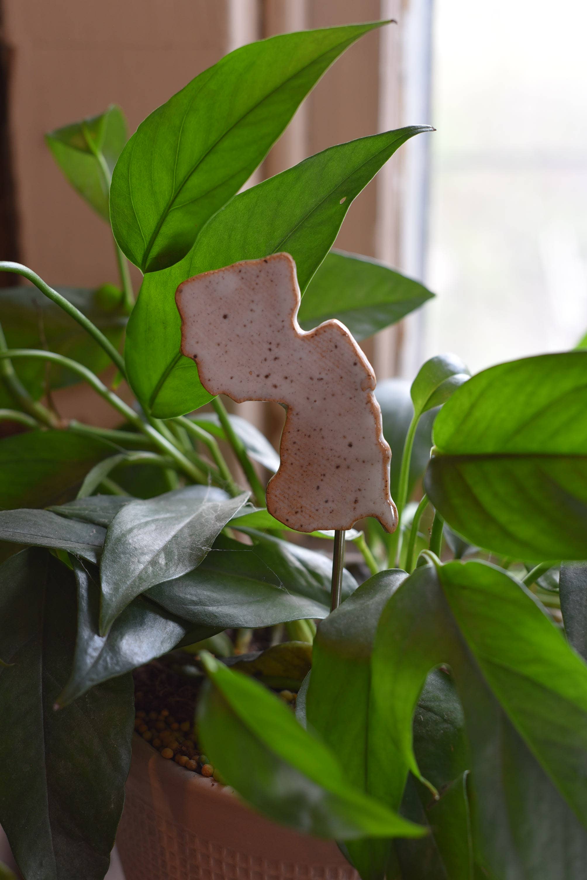 Wholesale Plant Buddies New Jersey NJ for your store Faire