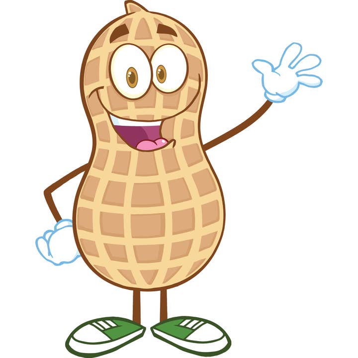 A Little Nuts Deep Fried Peanuts - Wholesale Nuts - Dill Pickle Deep Fried Peanuts1