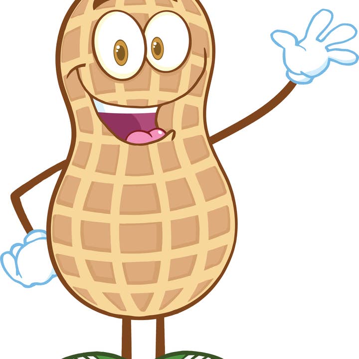 A Little Nuts Deep Fried Peanuts - Wholesale Nuts - 3 Flavor 12 Pack - Cajun, Garlic & Old Bay1