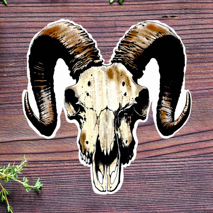 Ram Skull Sticker for wholesale by Sable Satin Moon Shop