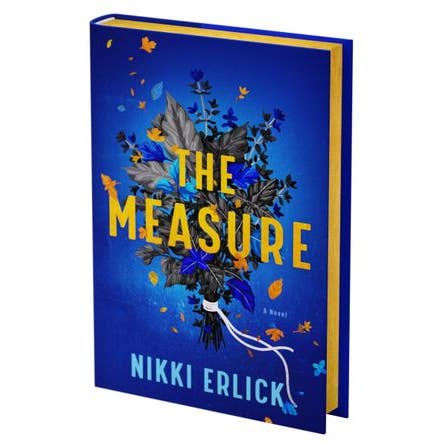 Measure Deluxe Collector's Edition, The : Nikki Erlick for wholesale by HarperCollins