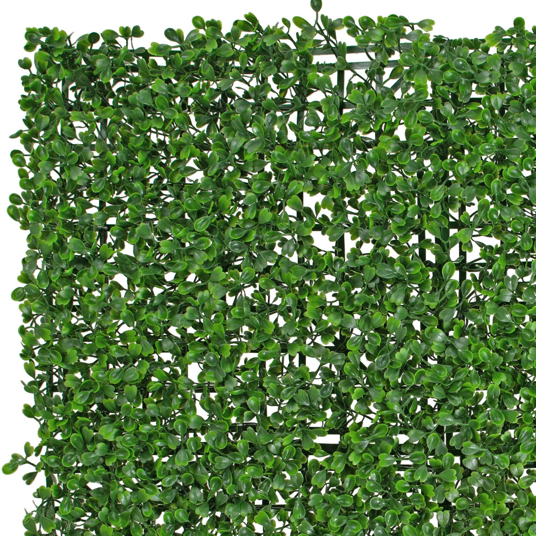 Lee Display - Wholesale Artificial Plant - Boxwood Topiary Wall Panels 8 SQFT3
