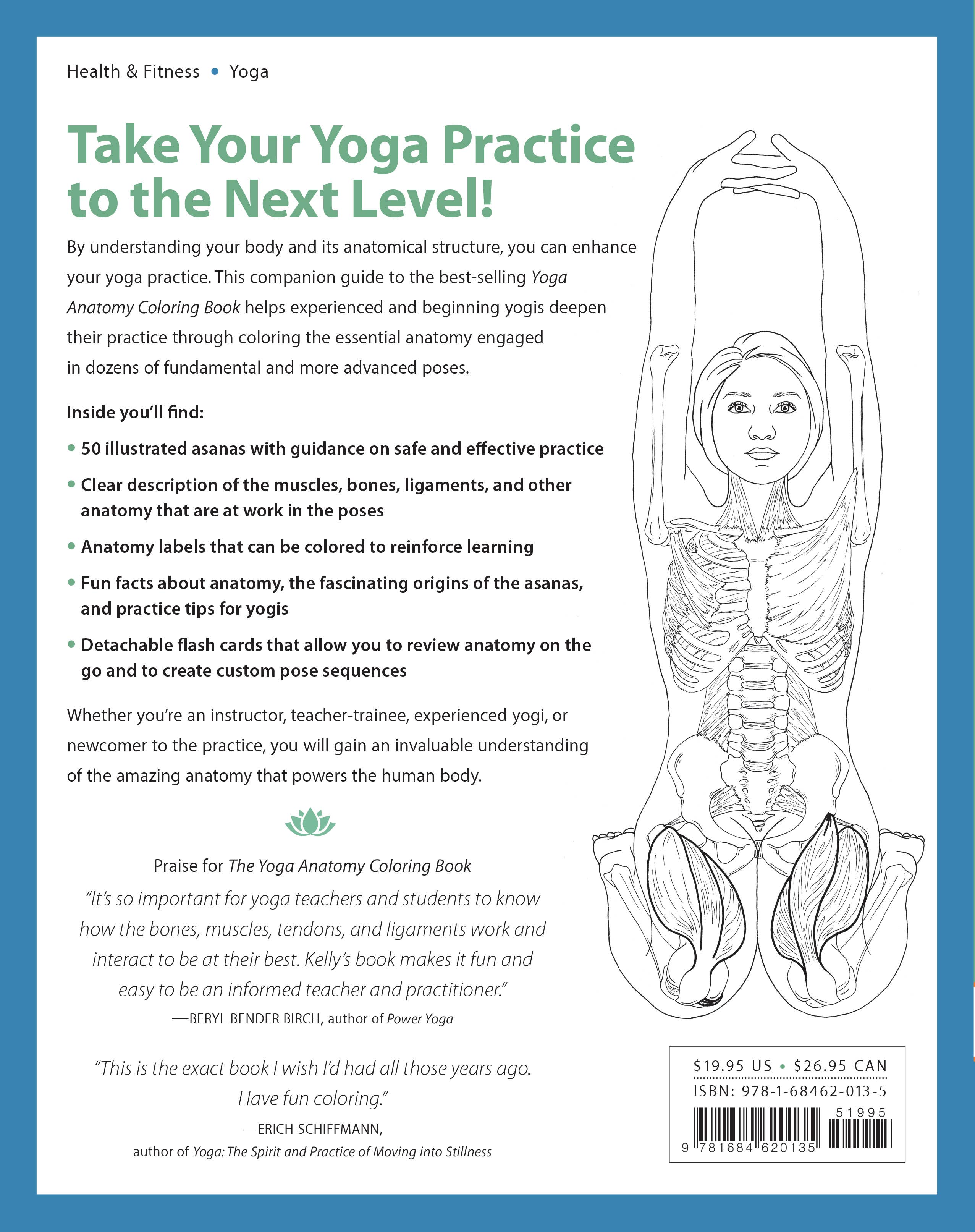 Mixed Media Resources LLC - Wholesale Coloring & Activity Book - Adult - The Yoga Anatomy Coloring Book: Pose by Pose6