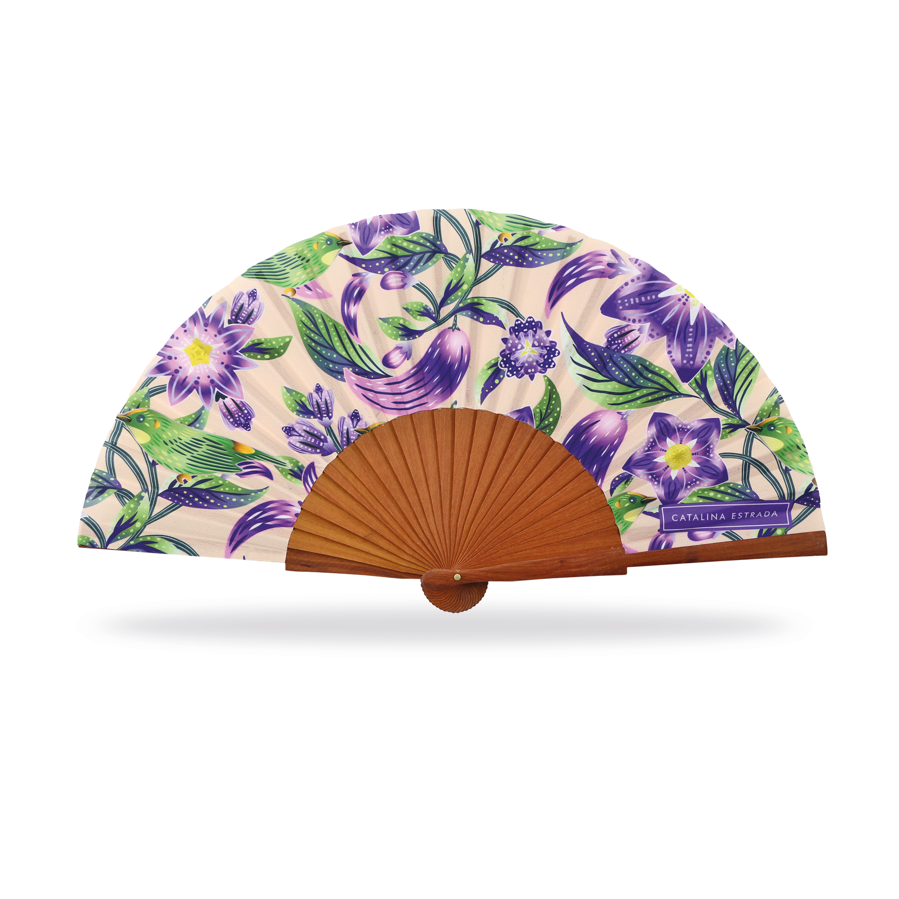 Cuatrogotas - Wholesale Party/Paper Folding Fan - Catalina Estrada Fan, Sweet Cucumber. Ref-A30161