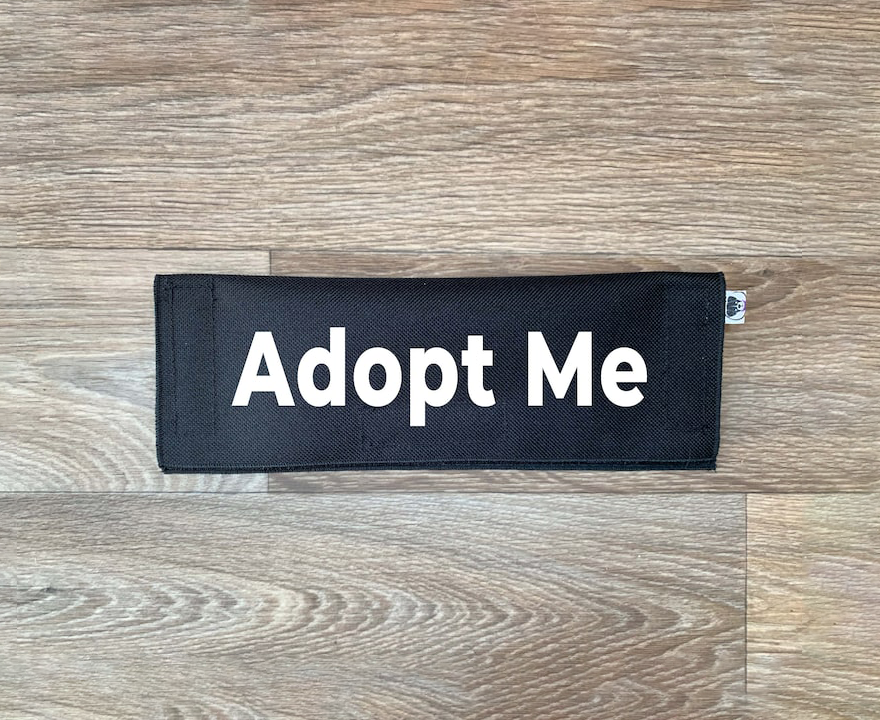 Best Friend Supplies Co - Wholesale Pet Leash - Dog - Adopt Me (customizable)2