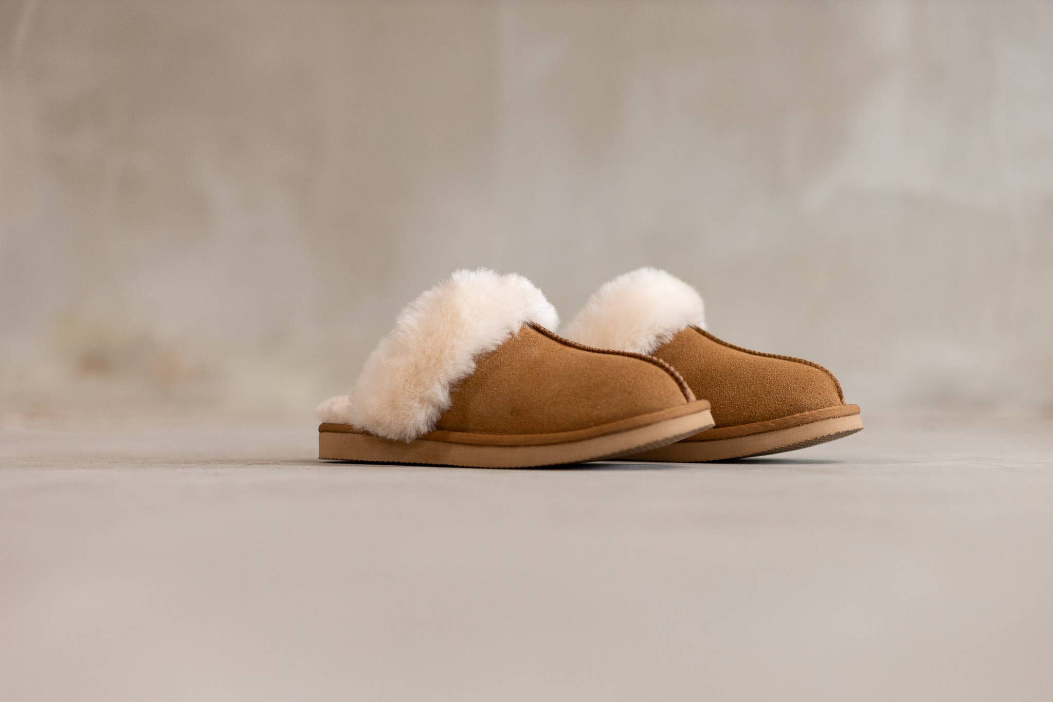 Van Buren – Großhandel Hausschuhe – Damen – Slipper Lumi aus weichem Wildleder mit Wollkragen | Camel | Größe 37-433
