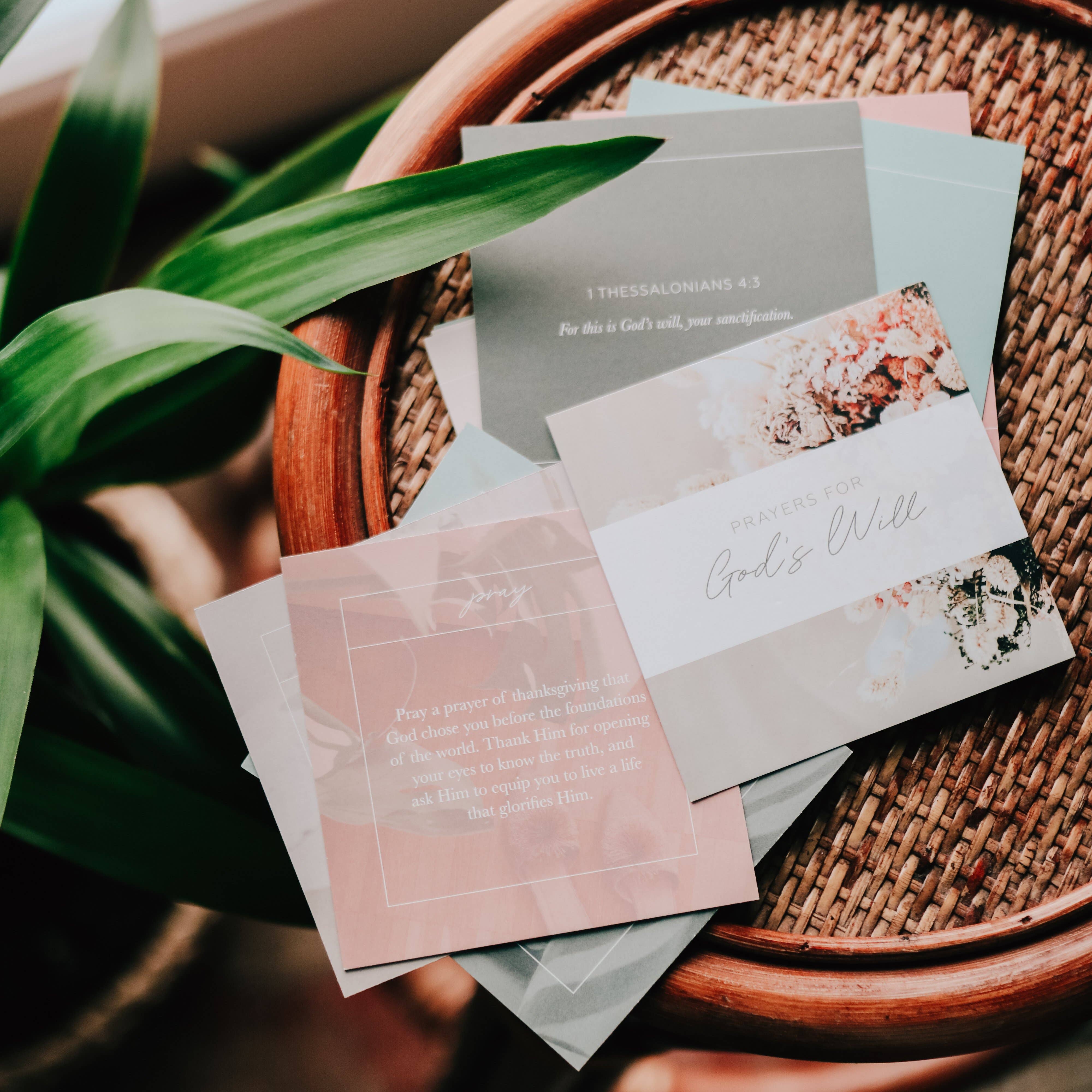 The Daily Grace Co - Wholesale Religious Card - Prayers for God's Will Verse Card Set2