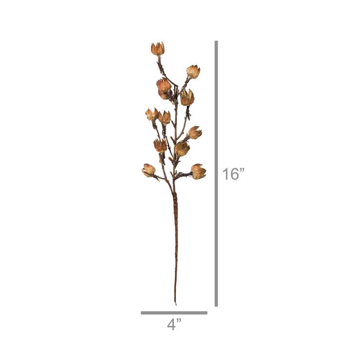 Natural Brown Botanical Stem - Cotton Pod for wholesale on Faire