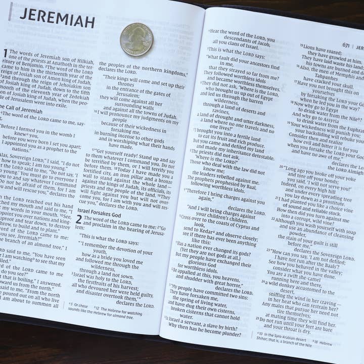 HarperCollins Christian Publishing - Wholesale Religion - NIV Value Thinline Bible Large Print Leathersoft Gray/Black4