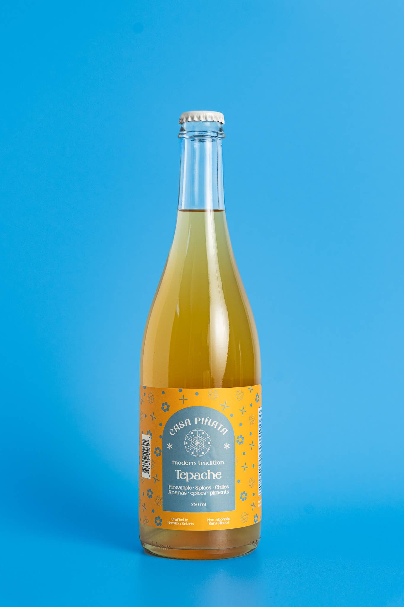 Casa Piñata - Wholesale Non-Alcoholic Aperitif/Mocktail - Tepache Mocktail6