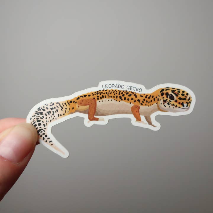 Autocolante Vinil Impermeável Lagarto Gecko Leopardo por atacado de Beehive 95 Designs