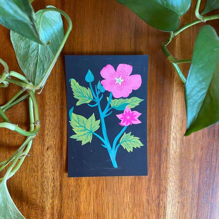 Dream Folk Studio - Wholesale Postcard Set - Pacific Northwest Wildflower Postcard Set - 10 postcards6