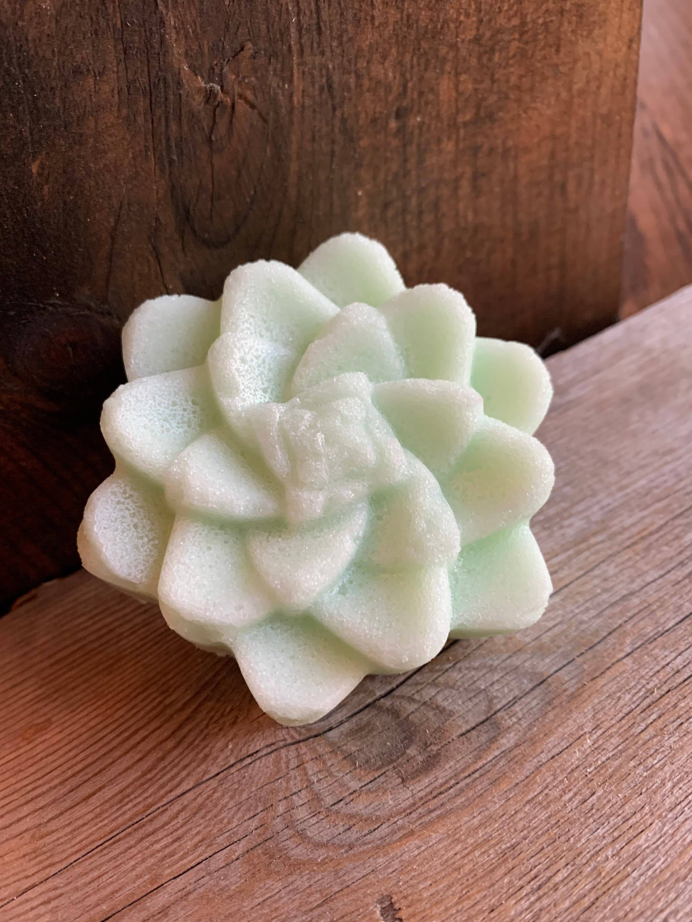 Urbanfarmergirls - Wholesale Body Scrub/Exfoliant - Succulent Sugar Scrub Bar5