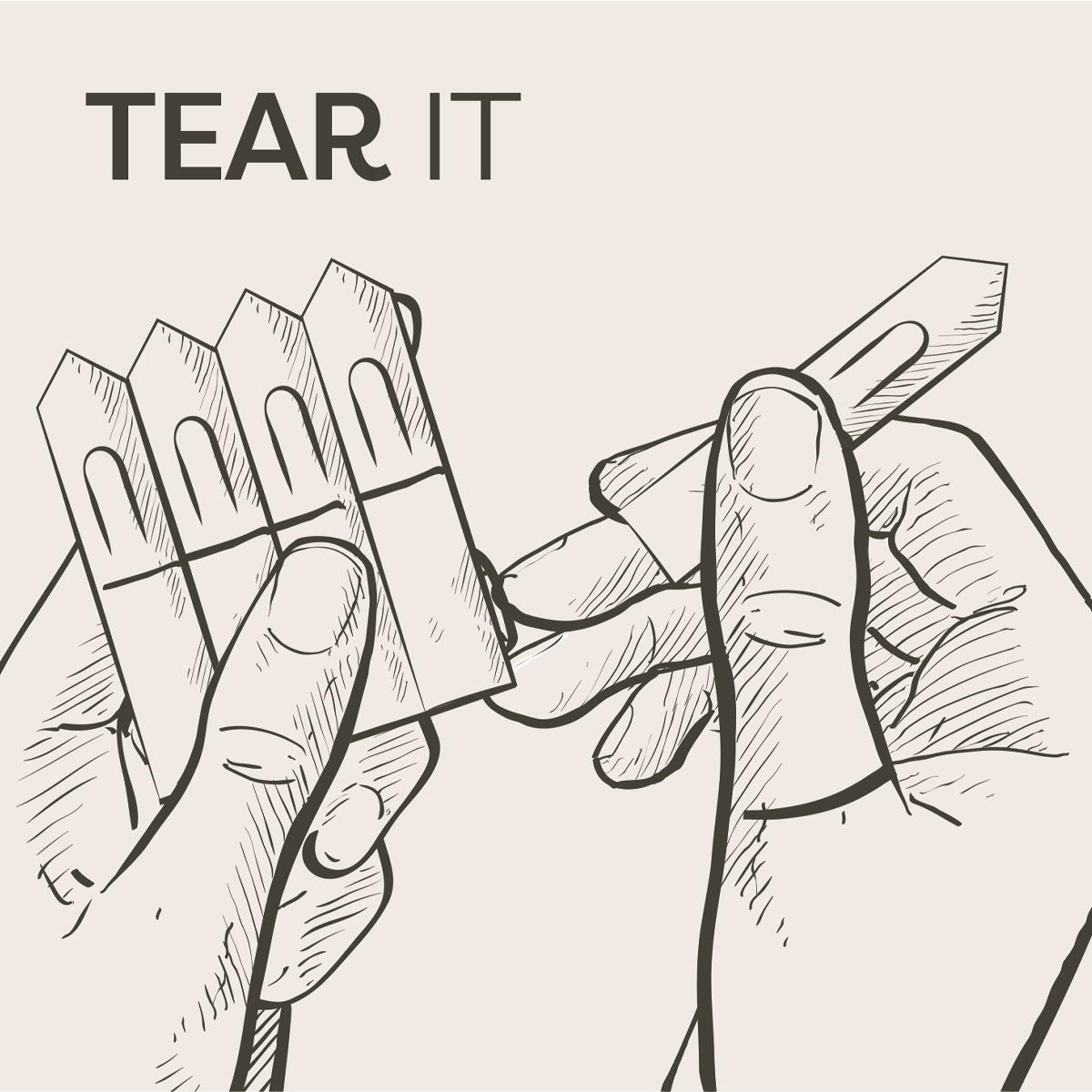 Seedsticks® – wholesale Plant seeds – Butterfly Seedsticks® 2