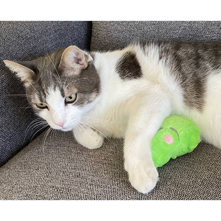 Screaming Pickles - Vente Jouet couineur – chien - Jouets pour animaux de compagnie faits à la main - Catnip/Dog Squeaker Mini Pickle8