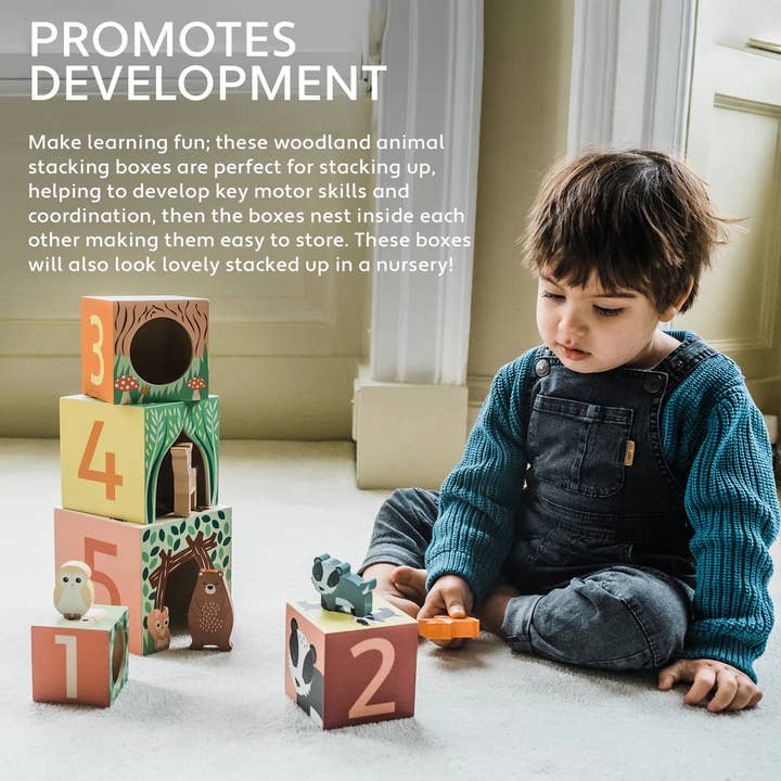 Orange Tree Toys - Wholesale Wood Toy - Kids - Woodland Animal Wooden Stacking Cubes (FSC®)