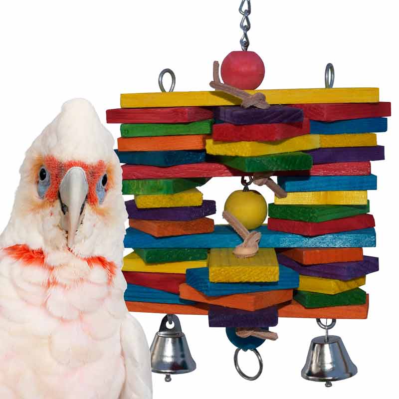 Super Bird Creations, LLC - Wholesale Bird Swing/Toy - Woodpile0