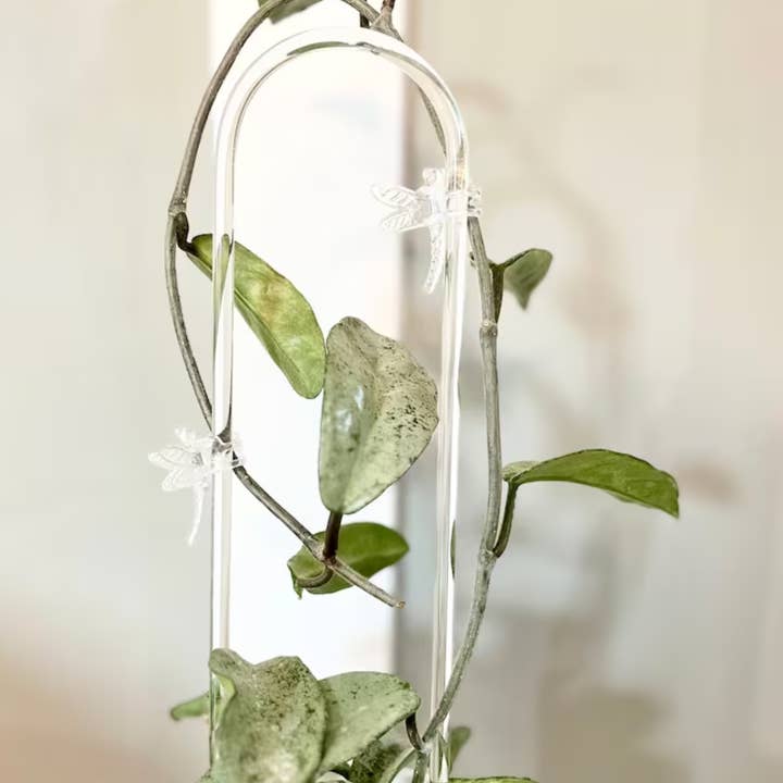 PlantBay - Wholesale Trellis - Arc Shaped Clear Trellis