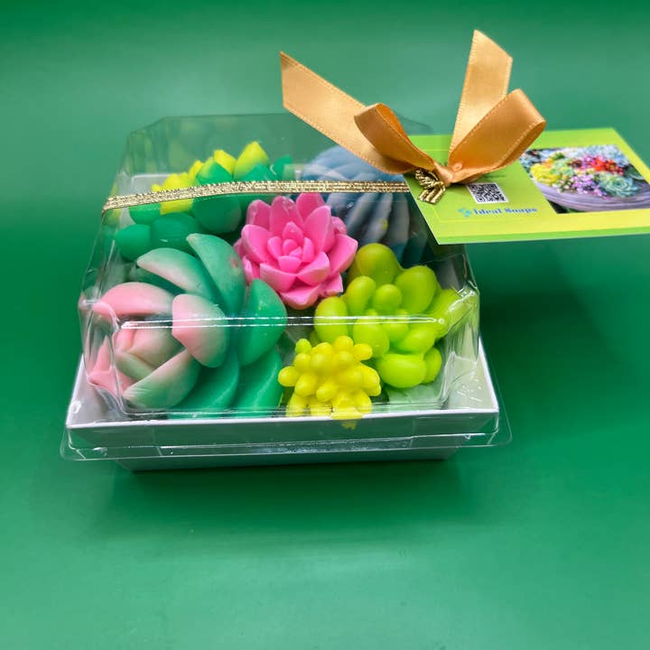 Ideal Soaps - Wholesale Gift Box - Soap Succulent Gift Box8