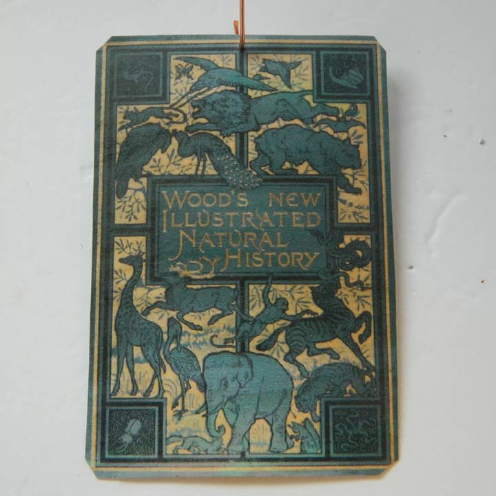 Couverture de livre antique illustrée d'histoire naturelle pour la vente par Sarah Wood Studio