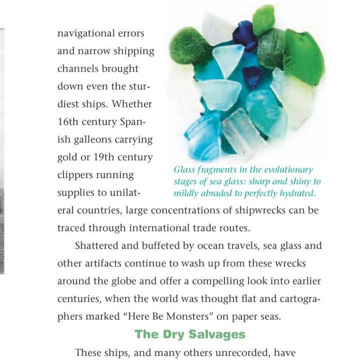 REMOVED BRAND - Wholesale Nature & Outdoors - Sea Glass Hunter's Handbook5