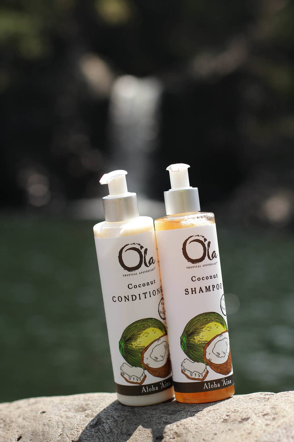 Ola Tropical Apothecary - Wholesale Hair Conditioner - Coconut Conditioner | 8 fl oz2