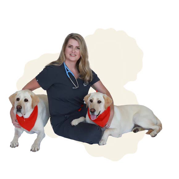 Pet Vet Products - Wholesale Book - Adult - Pet First Aid Handbook – CPR, Toxicity, Emergency Charts5