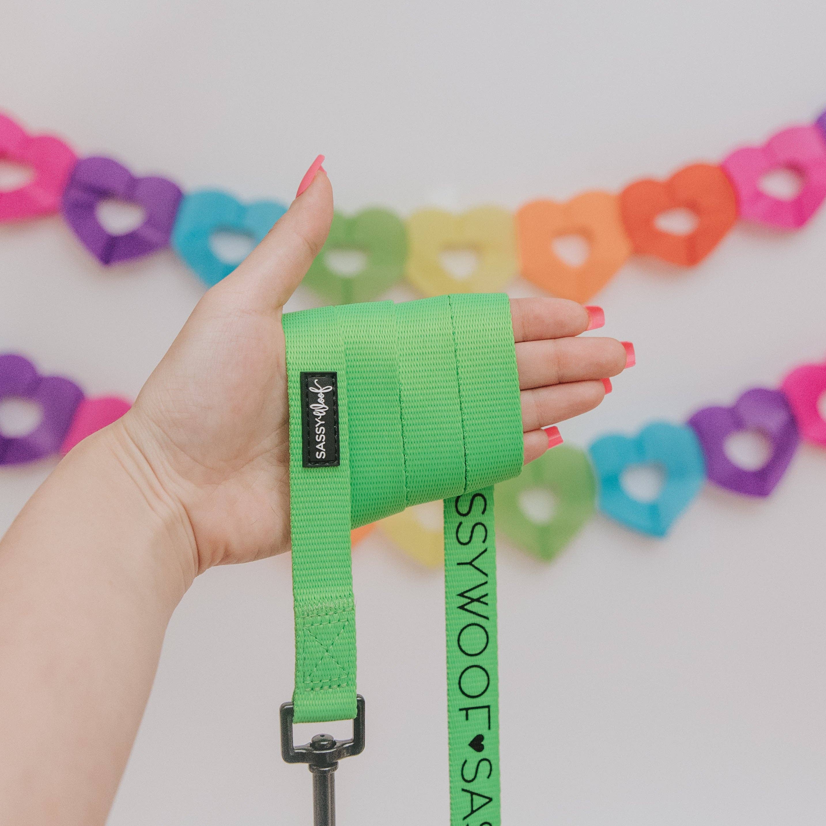 SASSY WOOF - Wholesale Pet Leash - Dog - Dog Leash - Neon Green4
