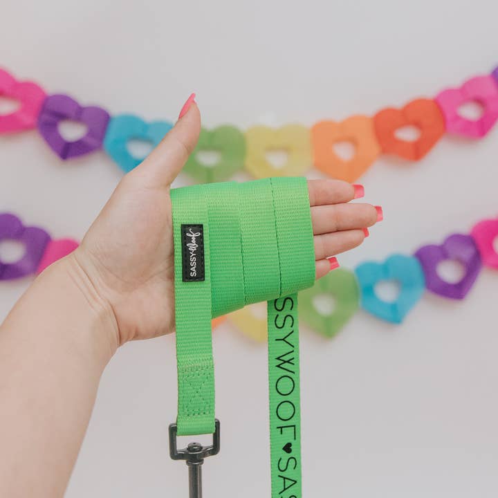 SASSY WOOF - Wholesale Pet Leash - Dog - Dog Leash - Neon Green4