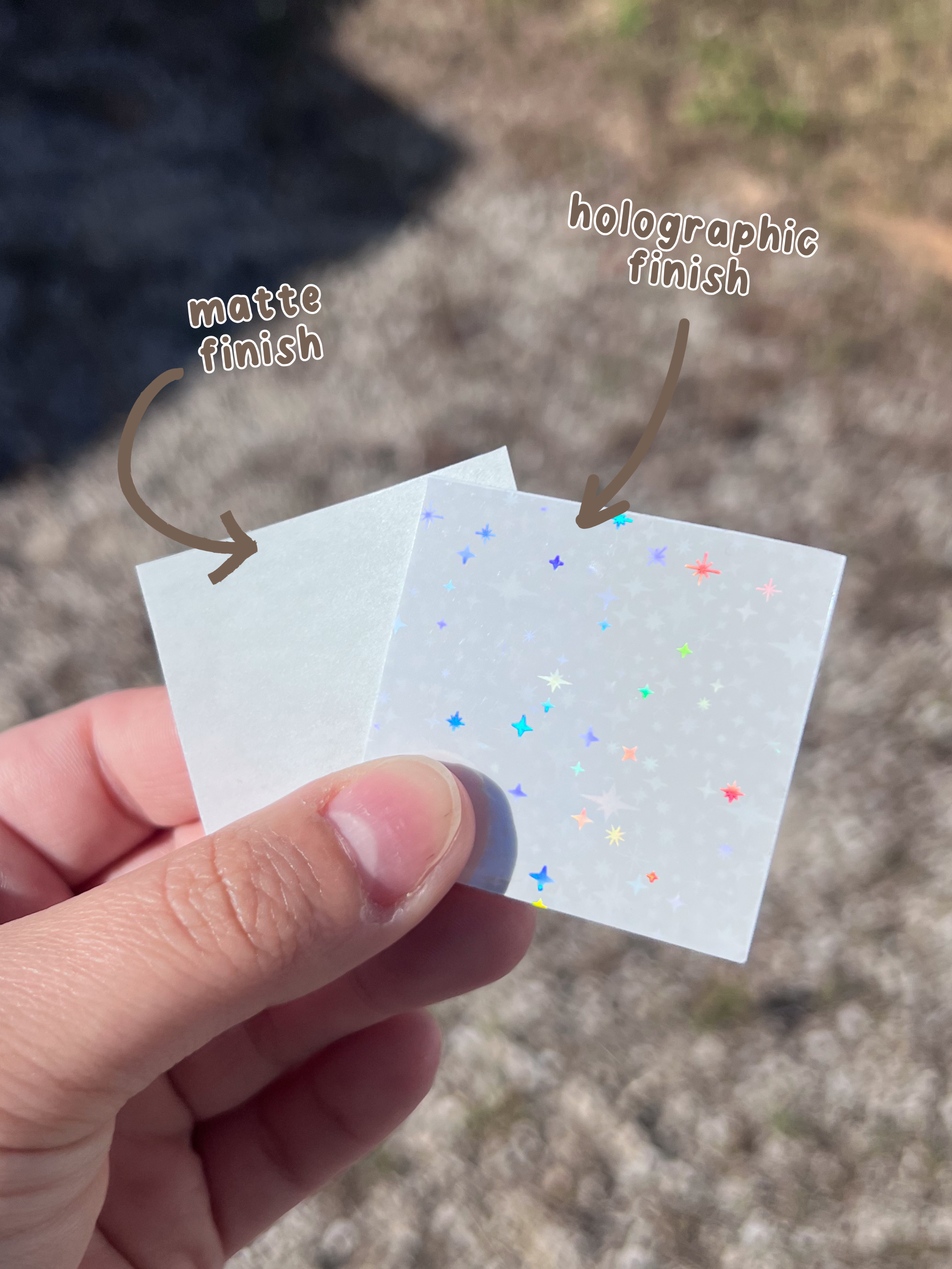 Bumblebry Designs - Wholesale Sticker - Local Indie Bookstore Vinyl Sticker | Book Stickers | Trendy3