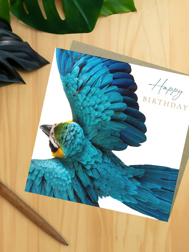 Blue Macaw Birthday Card for wholesale by The Wildlife Library
